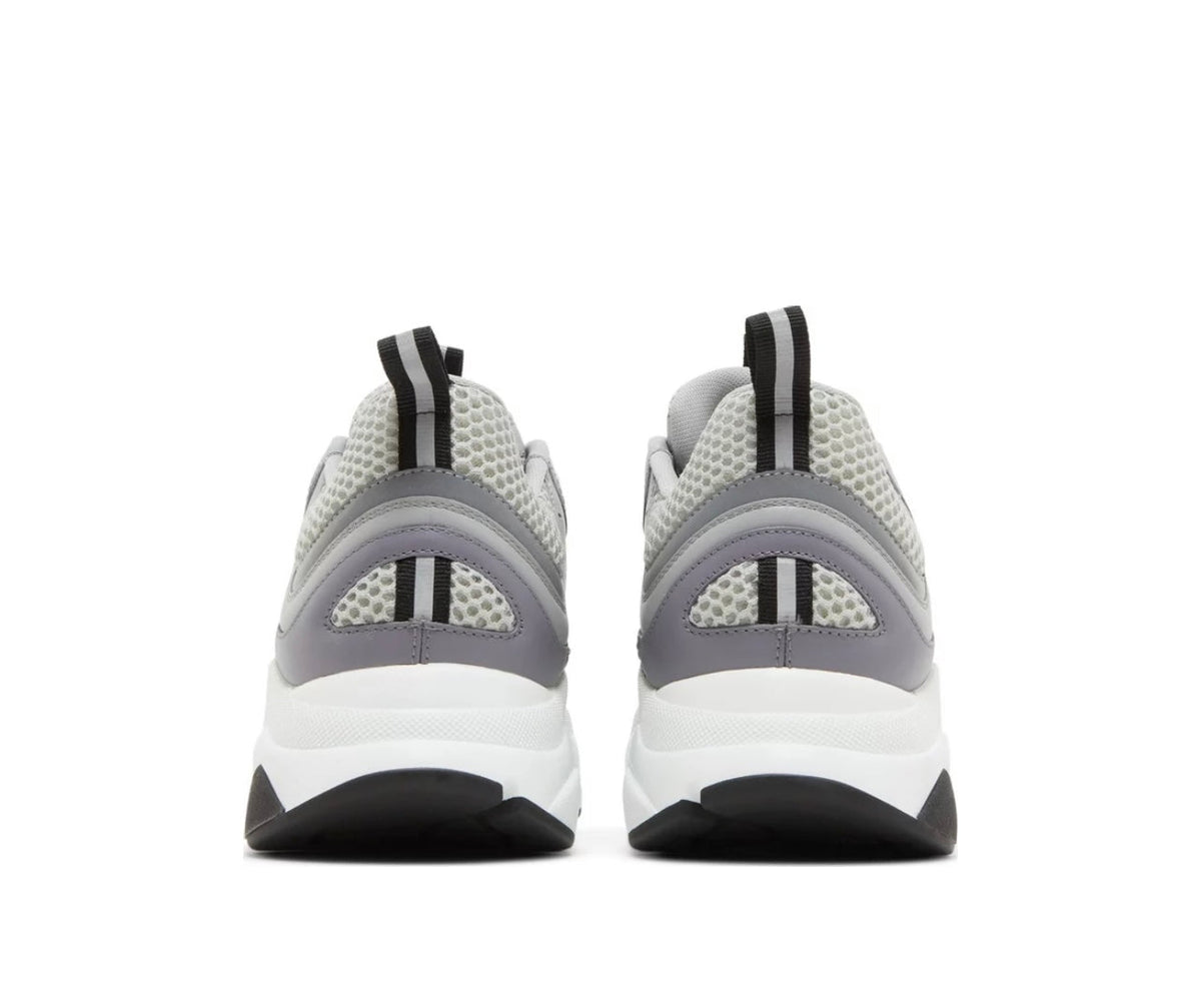 Dior B22 Grey